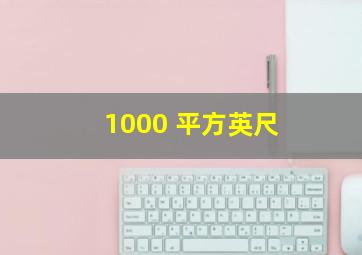 1000 平方英尺